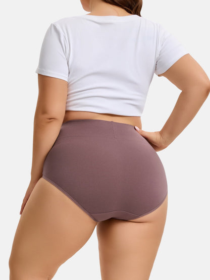 Women's Plus Size High Waisted Briefs 4-Pack