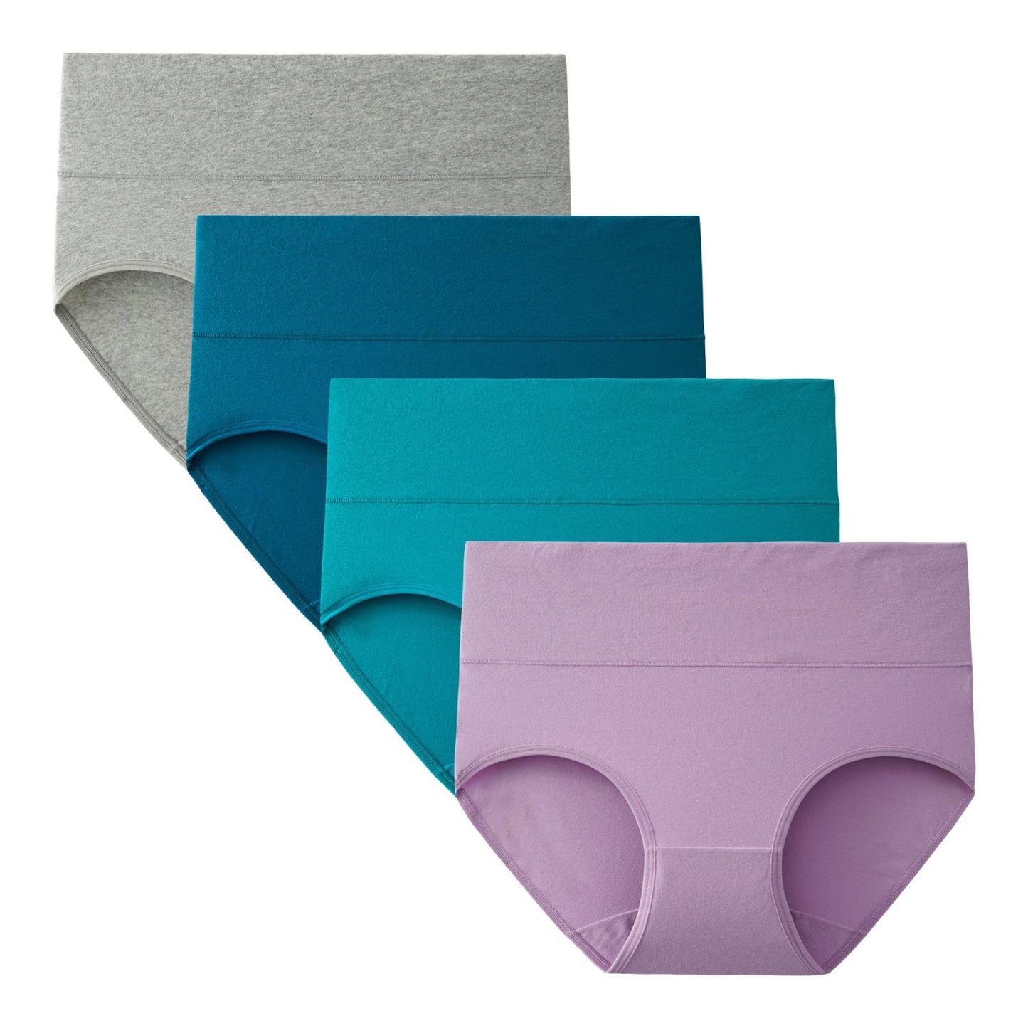 Women's Plus Size High Waisted Briefs 4-Pack